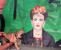 Feebee Frida Kahlo